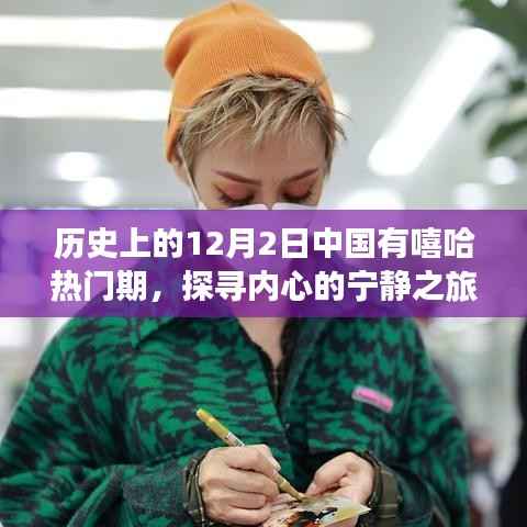 探寻内心宁静之旅,历史上的嘻哈热土与自然的奇妙融合——中国嘻哈热门期回顾