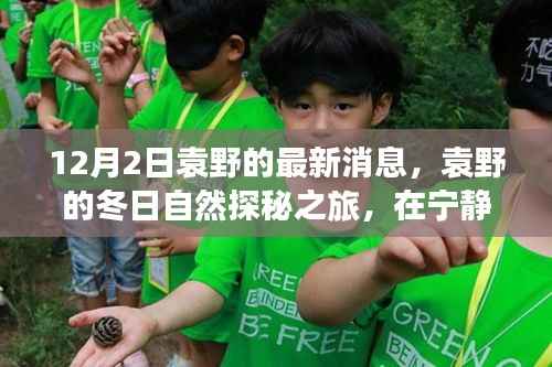 关于我们 第274页