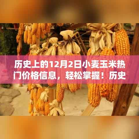 历史上的12月2日小麦玉米价格概览,市场动态与市场趋势深度解读