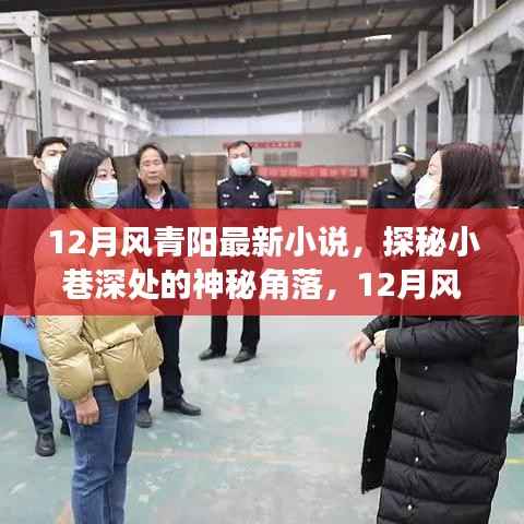 探秘小巷深处的隐藏书店,风青阳最新小说揭秘神秘角落