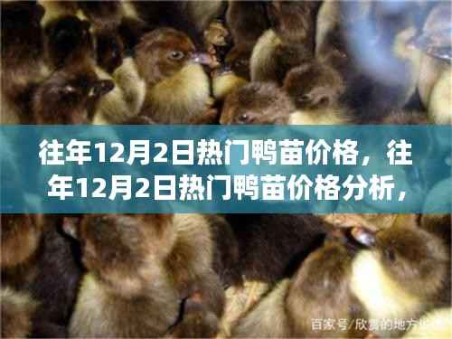 往年12月2日热门鸭苗市场行情深度解析,价格分析与市场动态探讨