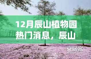 辰山植物园十二月惊喜,绿色秘境与特色小店的巷弄之旅