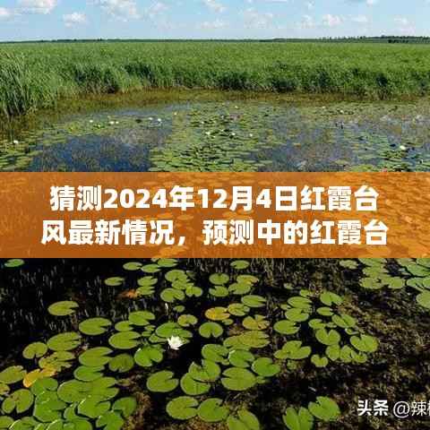 红霞台风最新预测分析,预测走向及影响