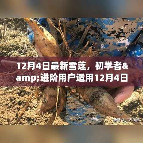 张牙舞爪 第3页