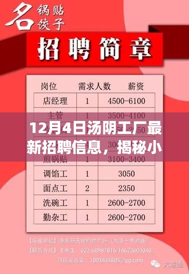 12月4日汤阴工厂最新招聘信息,揭秘小巷深处的宝藏工厂,汤阴工厂最新招聘信息来袭!