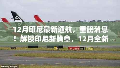 印尼新篇章开启,12月全新通航重磅来袭!