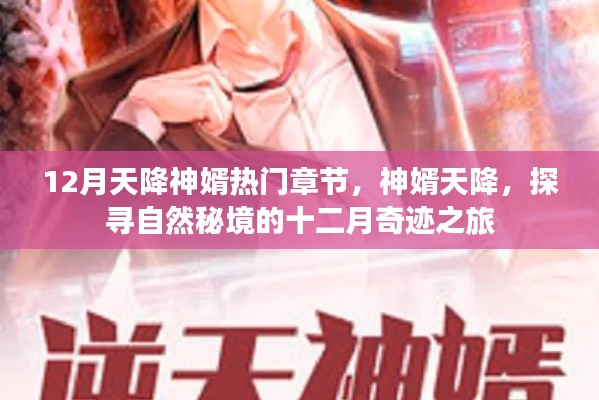 十二月神婿奇迹之旅,自然秘境探寻与天降奇缘