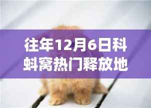 关于我们 第255页