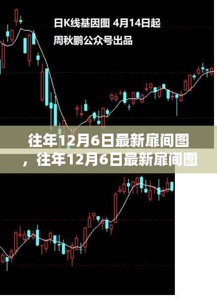 揭秘往年12月6日最新扉间图,年度尾声创意大盘点