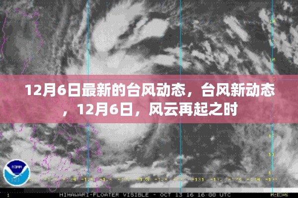 12月6日台风最新动态,风云再起之际