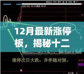 12月最新涨停板,揭秘十二月最新涨停板,股市热点的深度解析