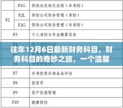 温馨日常故事,财务科目的奇妙之旅,揭秘往年12月6日最新科目