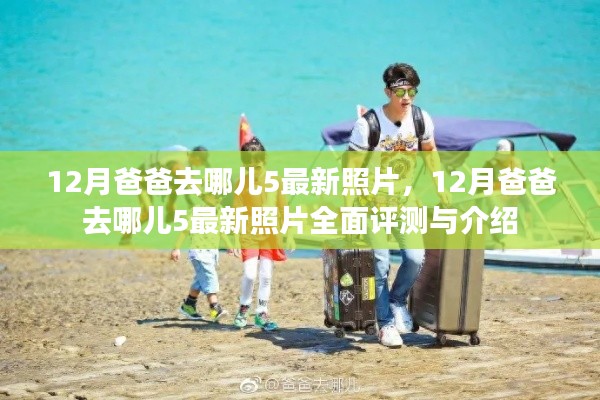 全始全终 第2页