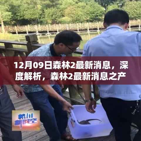 森林2最新消息深度解析,产品特性、用户体验与目标用户群体分析