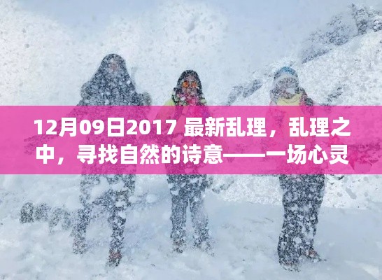 关于我们 第247页