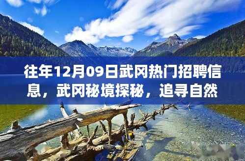 武冈热门招聘与秘境探秘,追寻自然美景之旅,寻找内心的宁静港湾