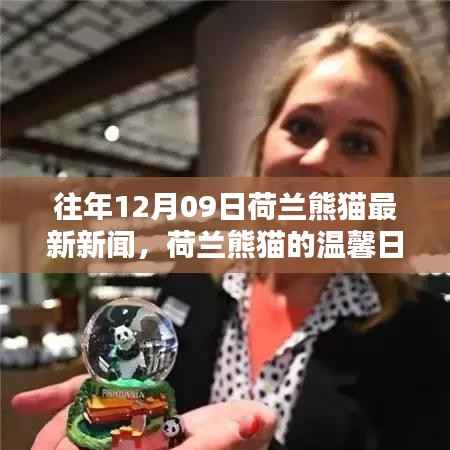 荷兰熊猫的温馨日常与欢乐时光——历年12月9日最新报道回顾
