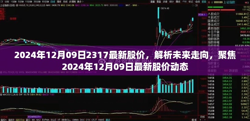 聚焦最新动态,解析未来走向,揭秘2024年12月09日股价动态