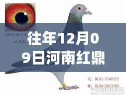 关于我们 第244页