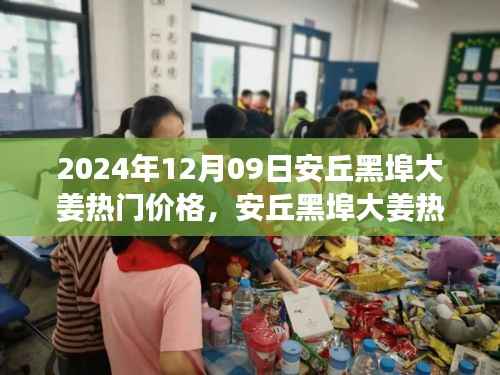 2024年12月9日安丘黑埠大姜热门价格行情分析