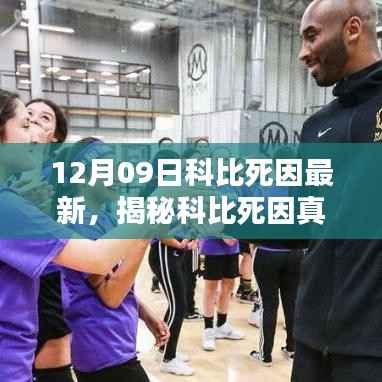 关于我们 第243页