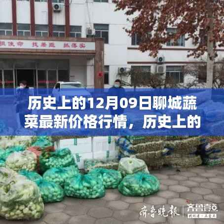 历史上的12月09日聊城蔬菜价格行情深度解析与竞品对比评测