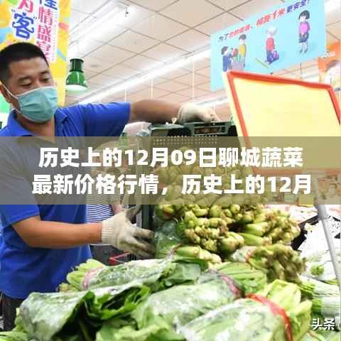 历史上的12月09日聊城蔬菜价格行情深度解析与竞品对比评测
