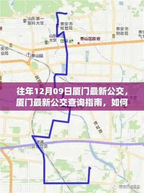 往年12月09日厦门公交最新信息及查询指南,轻松获取公交信息攻略