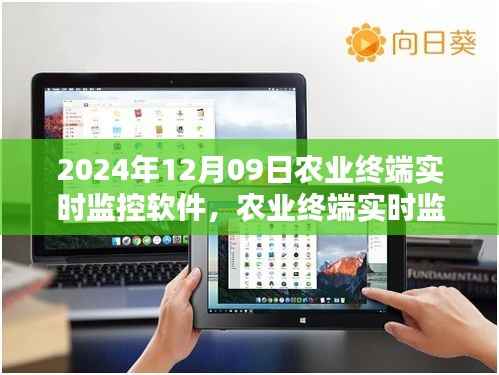 草率从事 第3页