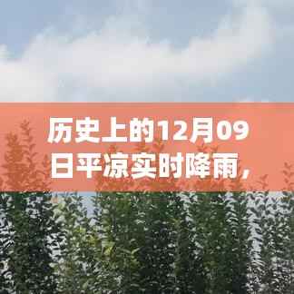 历史上的12月09日平凉实时降雨事件,多方观点探析与个人立场阐述