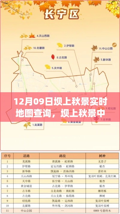 联系我们 第229页