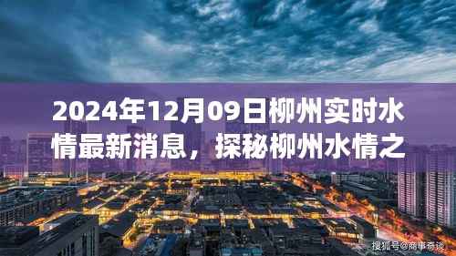 探秘柳州水情美食,小巷深处的特色小店新发现