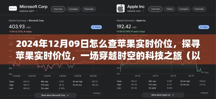 关于我们 第237页