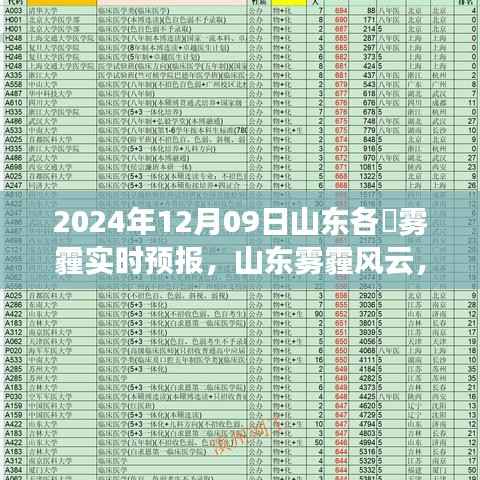 山东各市雾霾实时预报与深度解读,2024年12月09日雾霾风云解析