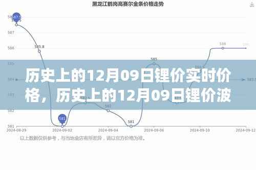 深度解析,历史上的12月09日锂价波动与实时价格走势背后的观点碰撞
