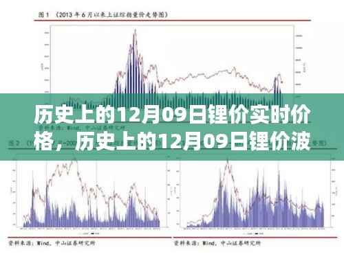 深度解析,历史上的12月09日锂价波动与实时价格走势背后的观点碰撞