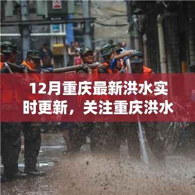 重庆洪水实时更新报告,关注最新动态,掌握最新信息
