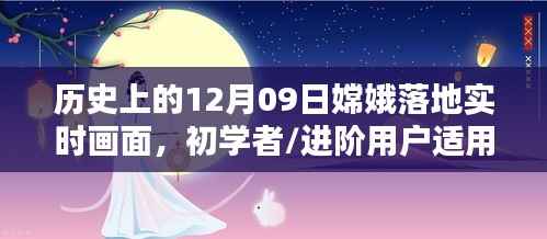 鸟语花香 第3页