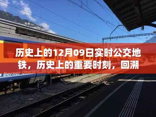 花开无言 第3页