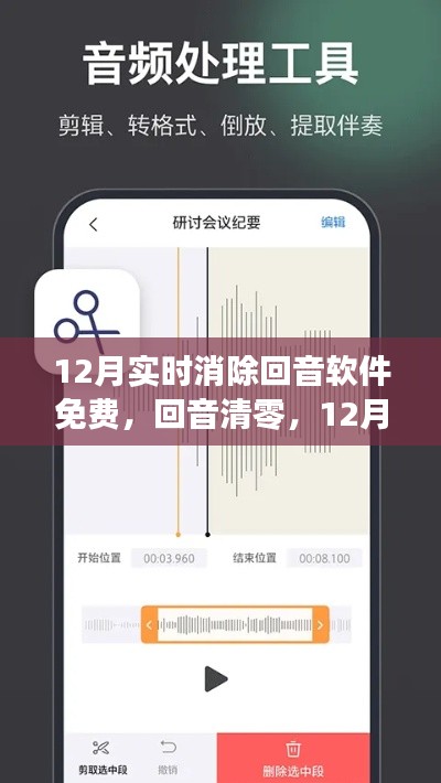 最新实时消除回音软件测评,免费回音清零功能体验分享