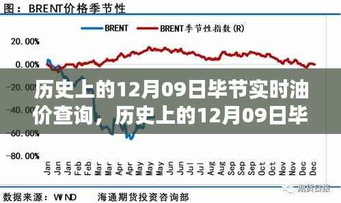 历史上的12月09日毕节实时油价查询全攻略,初学者与进阶用户适用