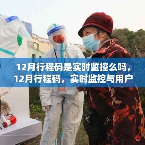 12月行程码实时动态监控与用户体验深度解析