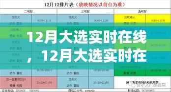 12月大选实时在线,全面评测与详细介绍
