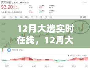 12月大选实时在线,全面评测与详细介绍