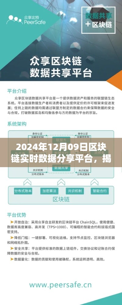 揭秘小巷深处的宝藏,区块链实时数据分享平台独家体验(2024年12月09日)