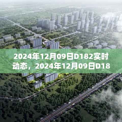 掌握步骤指南,2024年12月09日D182实时动态详解