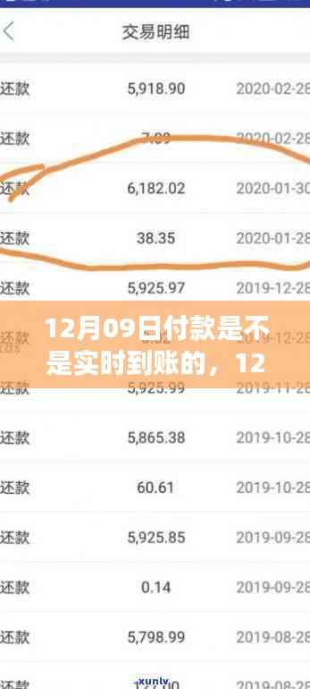 12月09日付款实时到账详解,性能评测与深度剖析