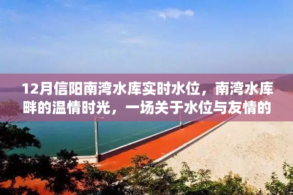 南湾水库畔的温情时光,信阳南湾水库实时水位与友情故事交织的日常