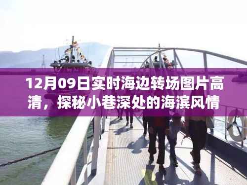 12月09日海边风情探秘,高清转场图片之旅