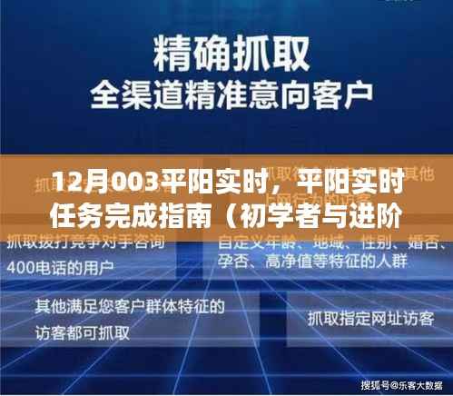 平阳实时任务完成指南,初学者与进阶用户适用攻略